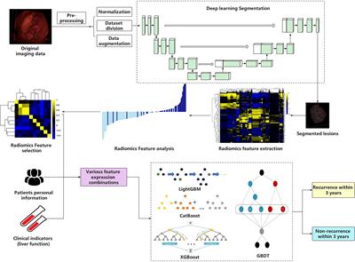 Frontiers Ensemble Learning Based On Efficient Features Combination